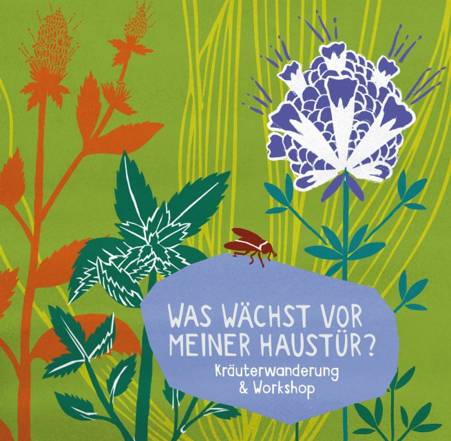 Kräuter // © mittelhof Kräuter // © mittelhof