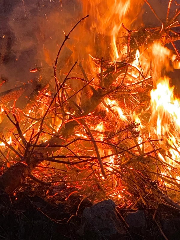 &copy; Kurverwaltung Feldberger Seenlandschaft