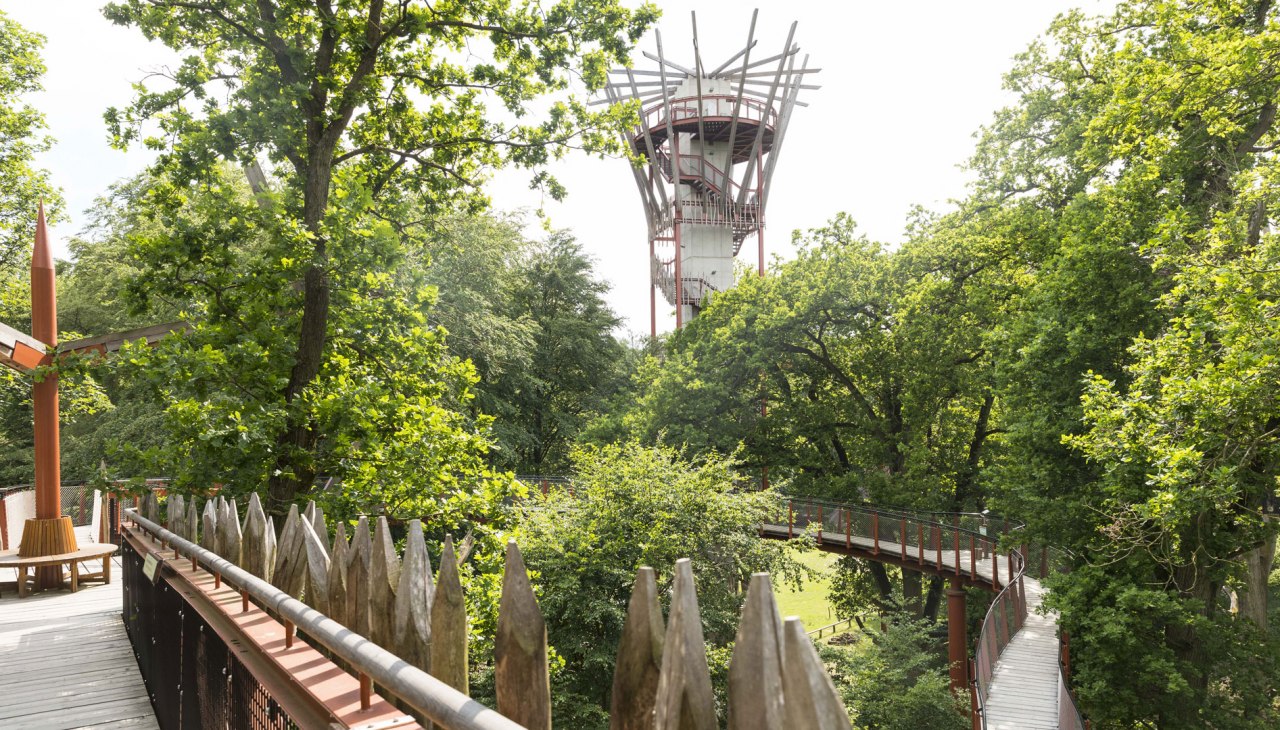 baumkronenpfad-5, © Landesforst MV baumkronenpfad-5, © Landesforst MV