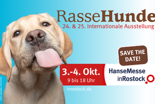 Titel RasseHunde // &copy; inRostock GmbH