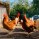 Tyrannosaurus Huhn
