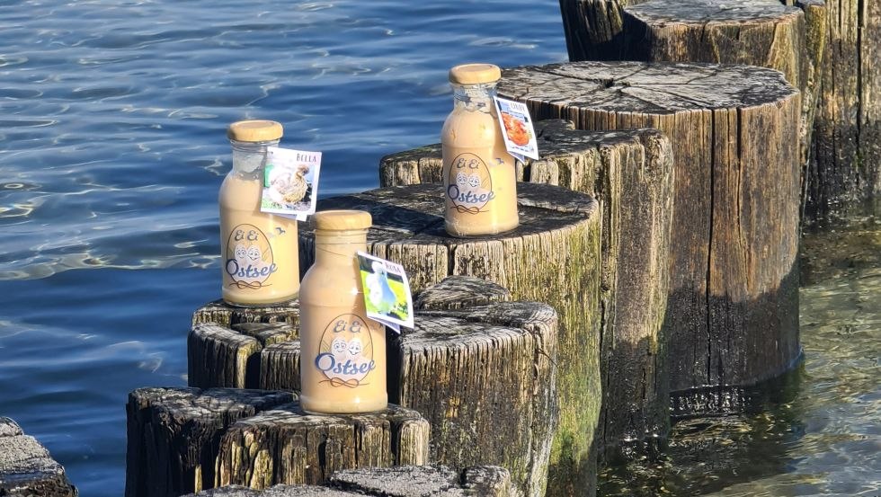 1000000479_980x553, © EiEiOstsee Dr. Thomas Graupner 1000000479_980x553, © EiEiOstsee Dr. Thomas Graupner