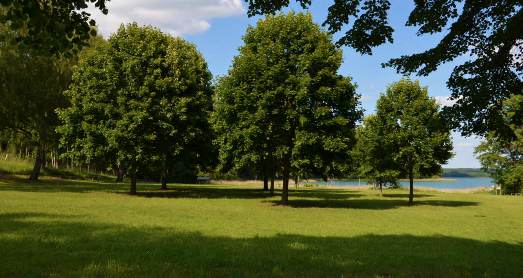 Badplaats Breiter Luzin Huettenberg 4, © Martin Möller Badplaats Breiter Luzin Huettenberg 4, © Martin Möller