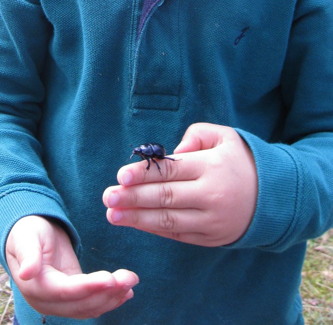 © NPA Müritz © NPA Müritz