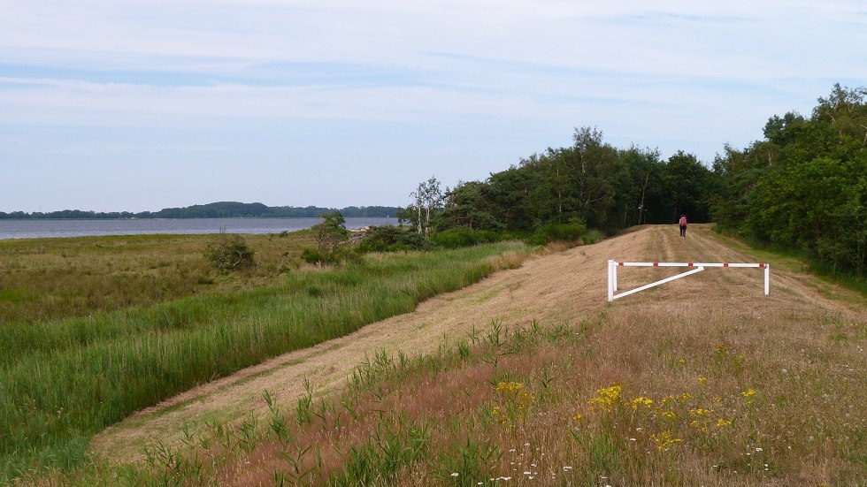 Bei Ihrer Wanderung auf dem Deich von Ummanz haben Sie stets die Insel Hiddensee im Blick // © Ummanz-Information/Bordych Bei Ihrer Wanderung auf dem Deich von Ummanz haben Sie stets die Insel Hiddensee im Blick // © Ummanz-Information/Bordych
