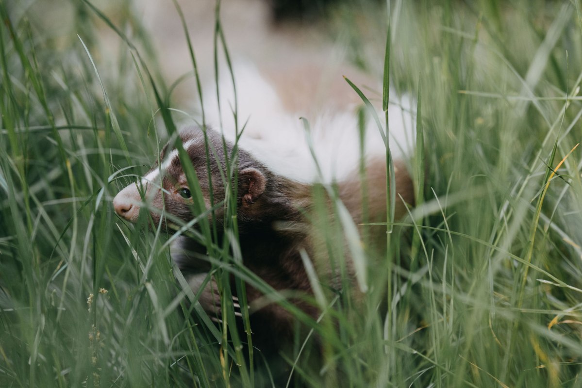 &copy; Theresa Lange