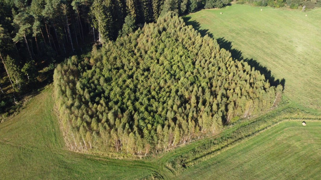 DJI_0863, &copy; Landesforst MV