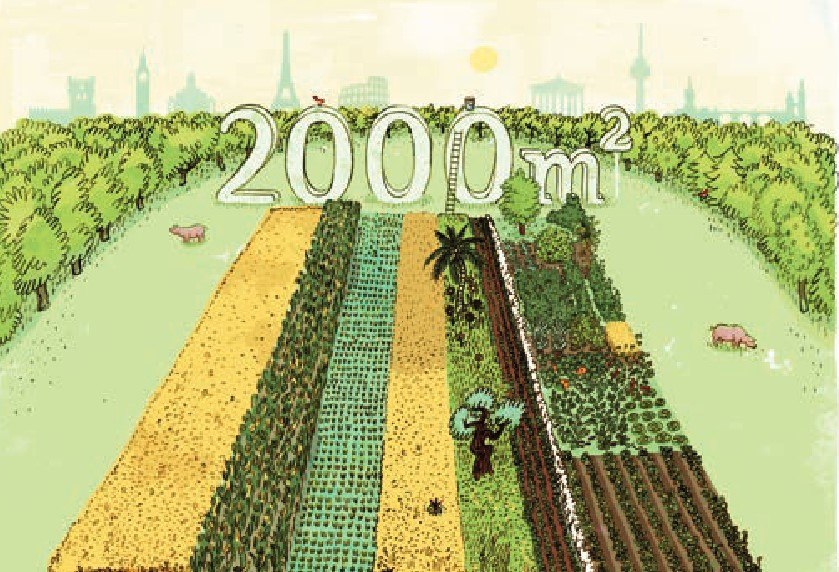 2.000 m² Weltacker // © Zukunftsstiftung Landwirtschaft 2.000 m² Weltacker // © Zukunftsstiftung Landwirtschaft