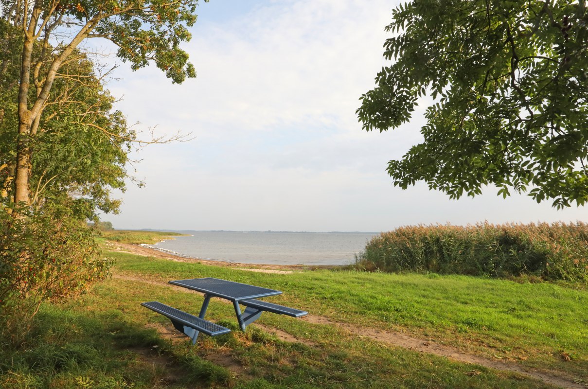 Sitzgelegenheit mit Blick auf das Wasser // © MV-T/Gohlke Sitzgelegenheit mit Blick auf das Wasser // © MV-T/Gohlke