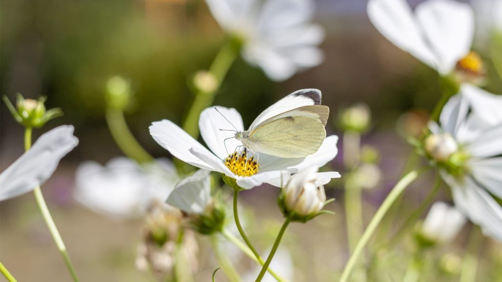 Ausblick aus dem Atelier, &copy; Sabine Ihl