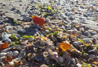 © Mitarbeiter3 © Mitarbeiter3