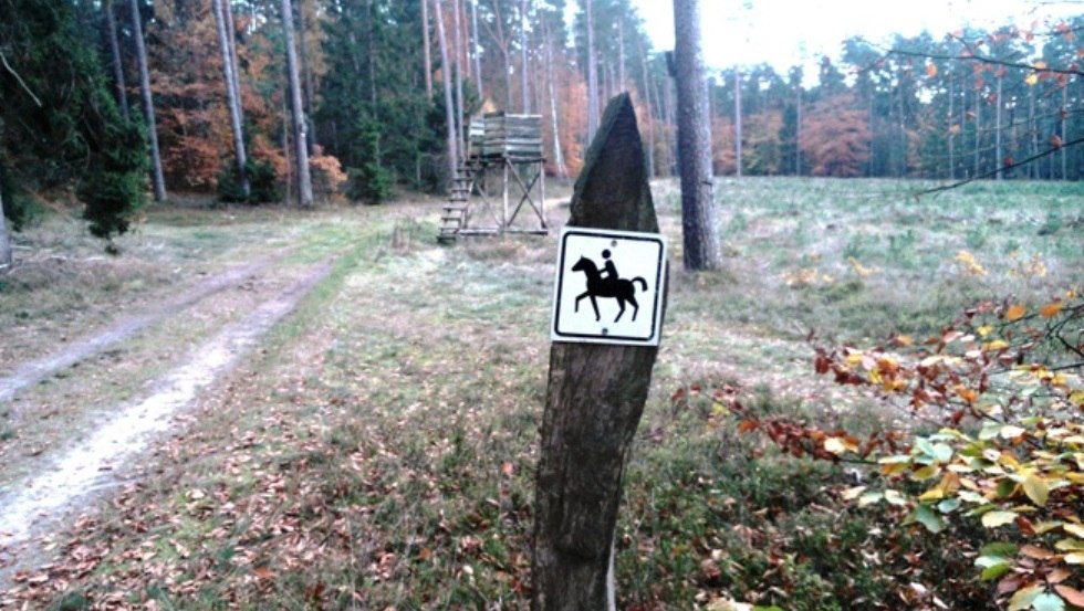 &Ouml;rtliche Ausschilderung der Reitwege um die Ferienanlage Am Walde in Wooster Teerofen. // &copy; Thamm