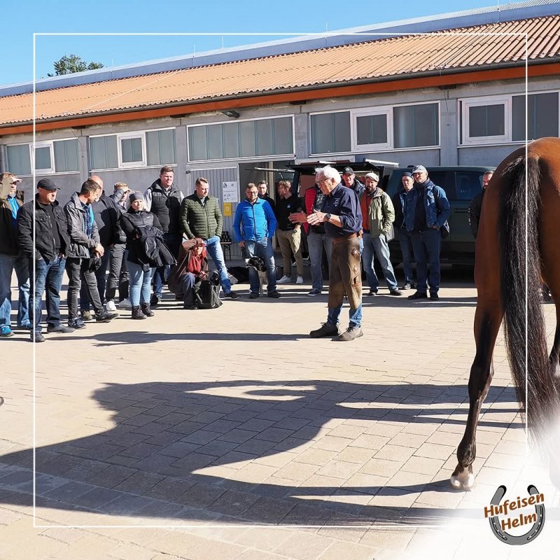 &copy; Hufbeschlag Helm