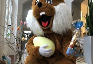 &copy; Kurverwaltung Sellin