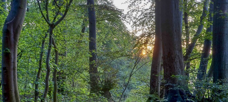 &copy; Kurverwaltung Goehren / Martin Stoever