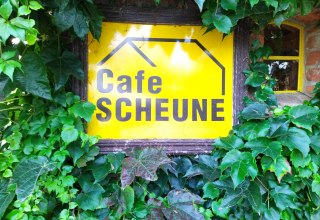 © Peter Drews © Peter Drews