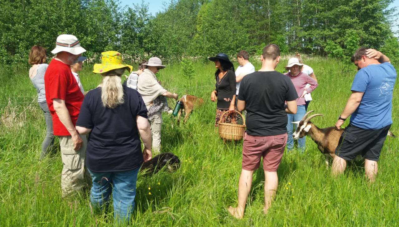 Wildkräuterwanderung mit den Hofziegen von Kräuterfrau Jeanette Nadebor, © Martin Hagemann