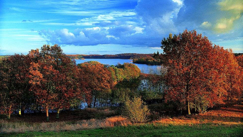 Betörendes Farbenspiel: Das Feldberger Seenland ist zu jeder Jahreszeit eine Reise wert, © TMV/Grundner