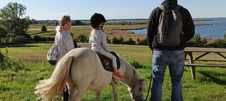 Familientag mit Pony Barth // &copy; DE