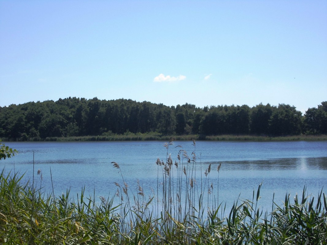 © 201547.jpg © 201547.jpg