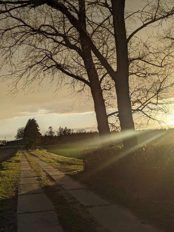 Streckenabschnitt bei P&auml;tschow // &copy; Vincent-Gregor Schulze