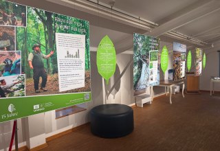 &copy; Nationalpark-Zentrum K&Ouml;NIGSSTUHL