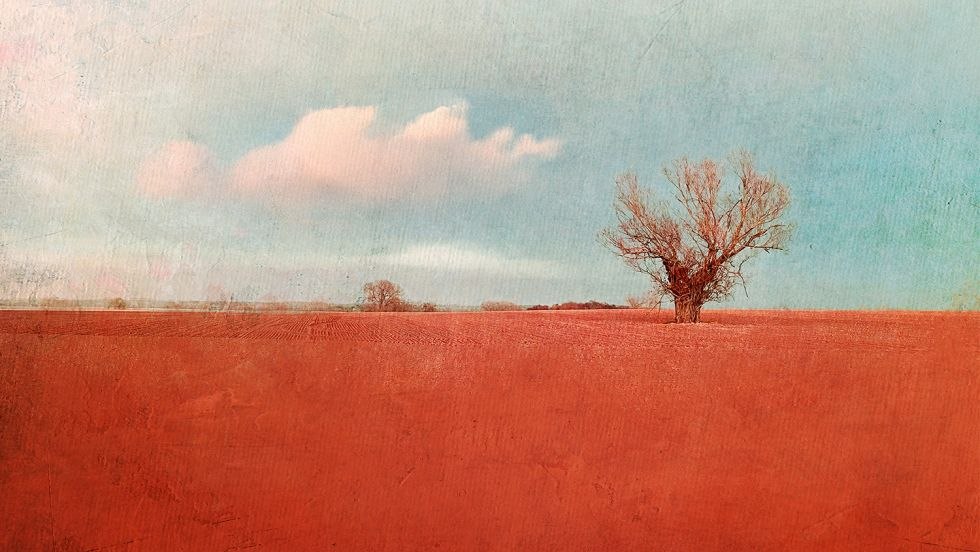 &copy; Claudia Drossert