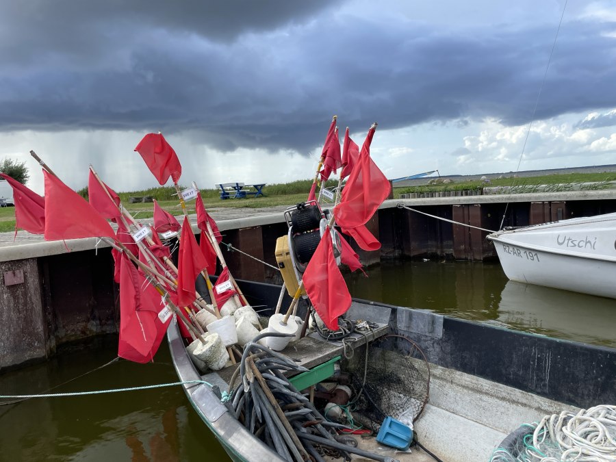 Donnerwetter am Hafen Neuendorf, &copy; TZ S&uuml;dliche Boddenk&uuml;ste