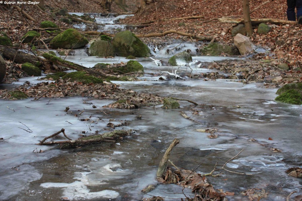 Bevroren stroom, © Gudrun Marin-Ziegler