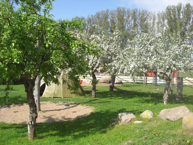 Frühling auf dem Eselhof // © Eselhof Schlage Frühling auf dem Eselhof // © Eselhof Schlage