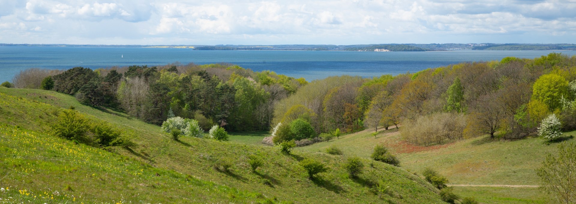 Aussichtspunkt Zicker Berg mit gr&uuml;nen H&uuml;geln, bl&uuml;henden Wiesen, Wald und der Ostsee im Hintergrund unter einem leicht bew&ouml;lkten Himmel.