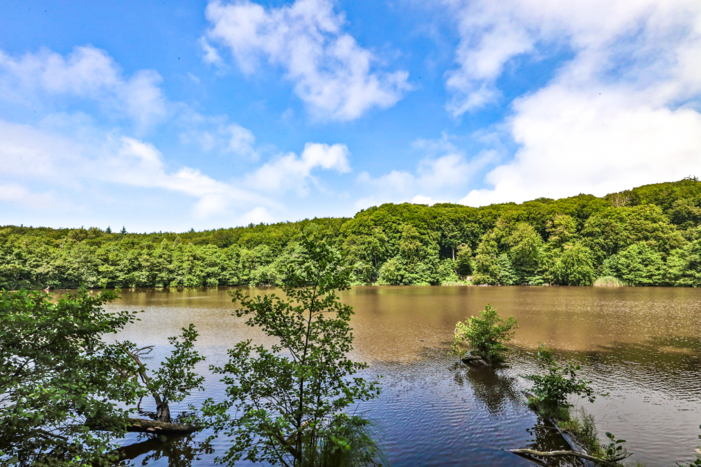 herthasee_1, © TMV/Gohlke