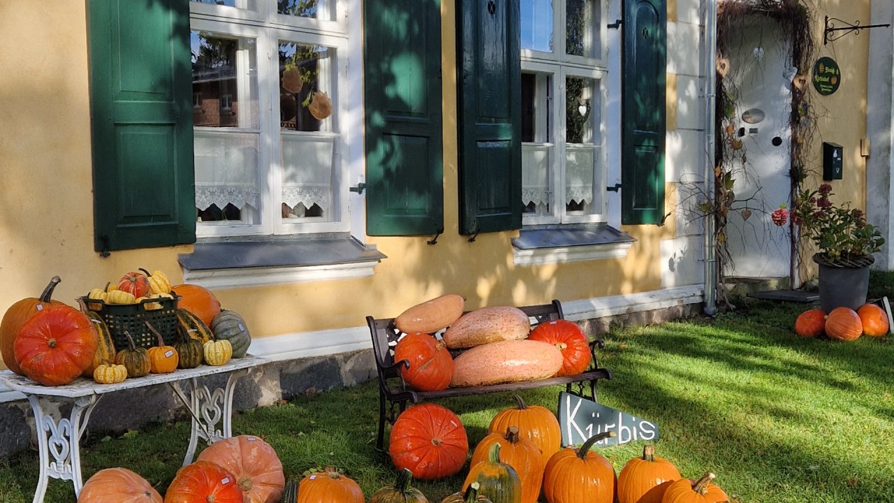 Honig- & Kürbishof Gutshaus Behrenshagen // © B. Siebenbürgen Honig- & Kürbishof Gutshaus Behrenshagen // © B. Siebenbürgen