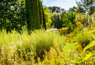 © André Wirsig © André Wirsig