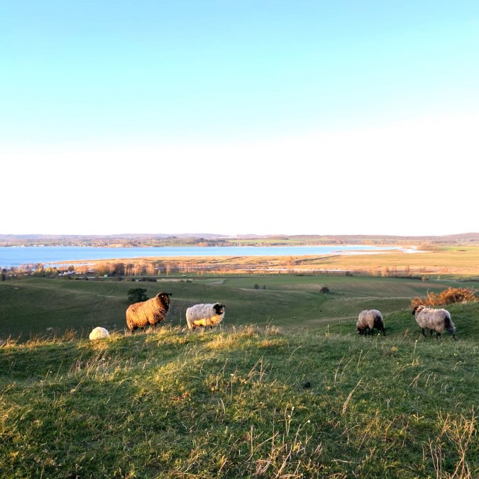 Lebensr&auml;ume, &copy; KV M&ouml;nchgut