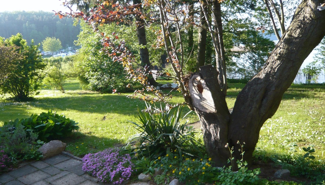 Die Aussicht &uuml;ber das Grundst&uuml;ck vom Grillplatz aus, &copy; P. Kohlmann