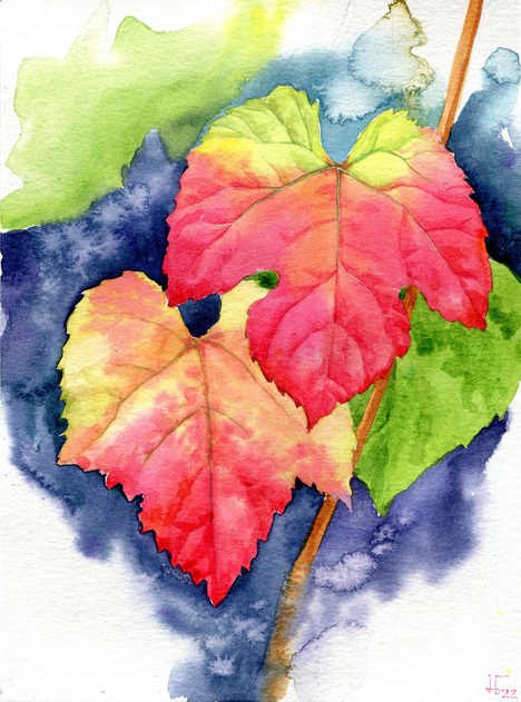 &copy; Jenny Thalheim