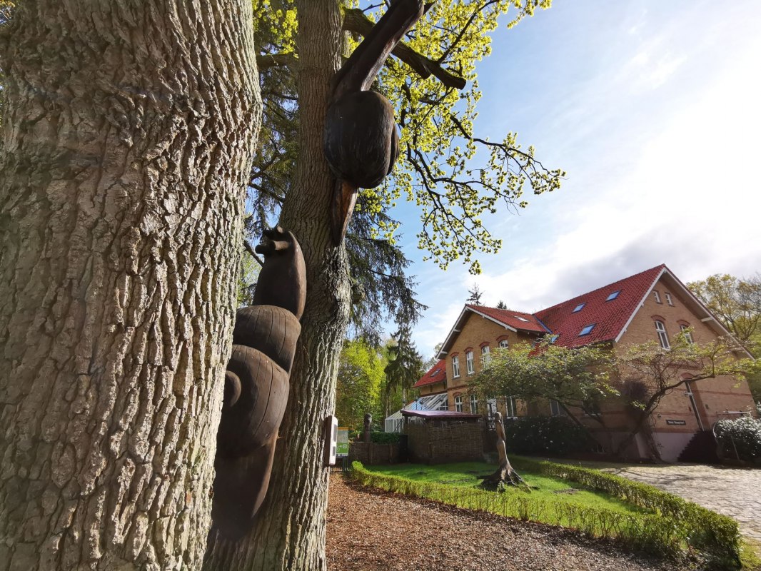 Hotel Schlösschen Sundische Wiese // © Hotel Schlösschen Sundische Wiese Hotel Schlösschen Sundische Wiese // © Hotel Schlösschen Sundische Wiese