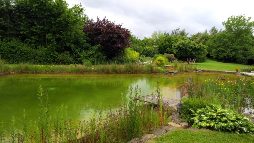 Am Teich, &copy; Monika Behnke