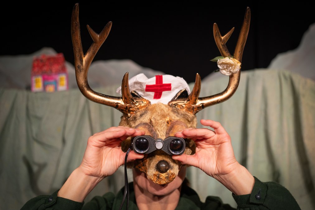 Hasen-pfeifen-nicht, © Michael Henneberger