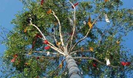 Maibaum // &copy; Touristik Lohme