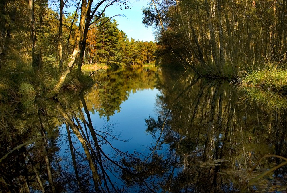 Moorsee, © Stadt Ribnitz Damgarten