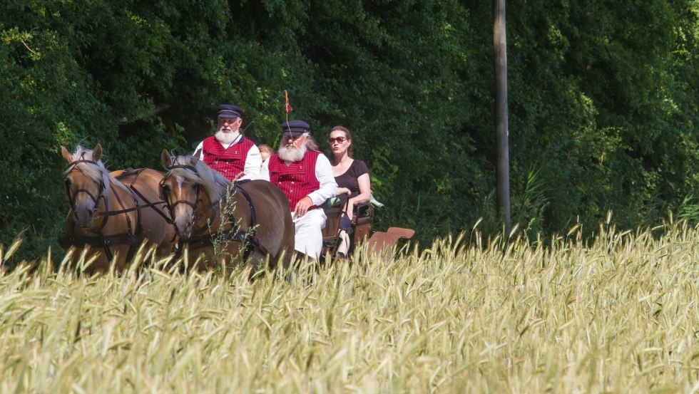 Fernab der Straßen die Insel erkunden, © TMV/Raff Fernab der Straßen die Insel erkunden, © TMV/Raff