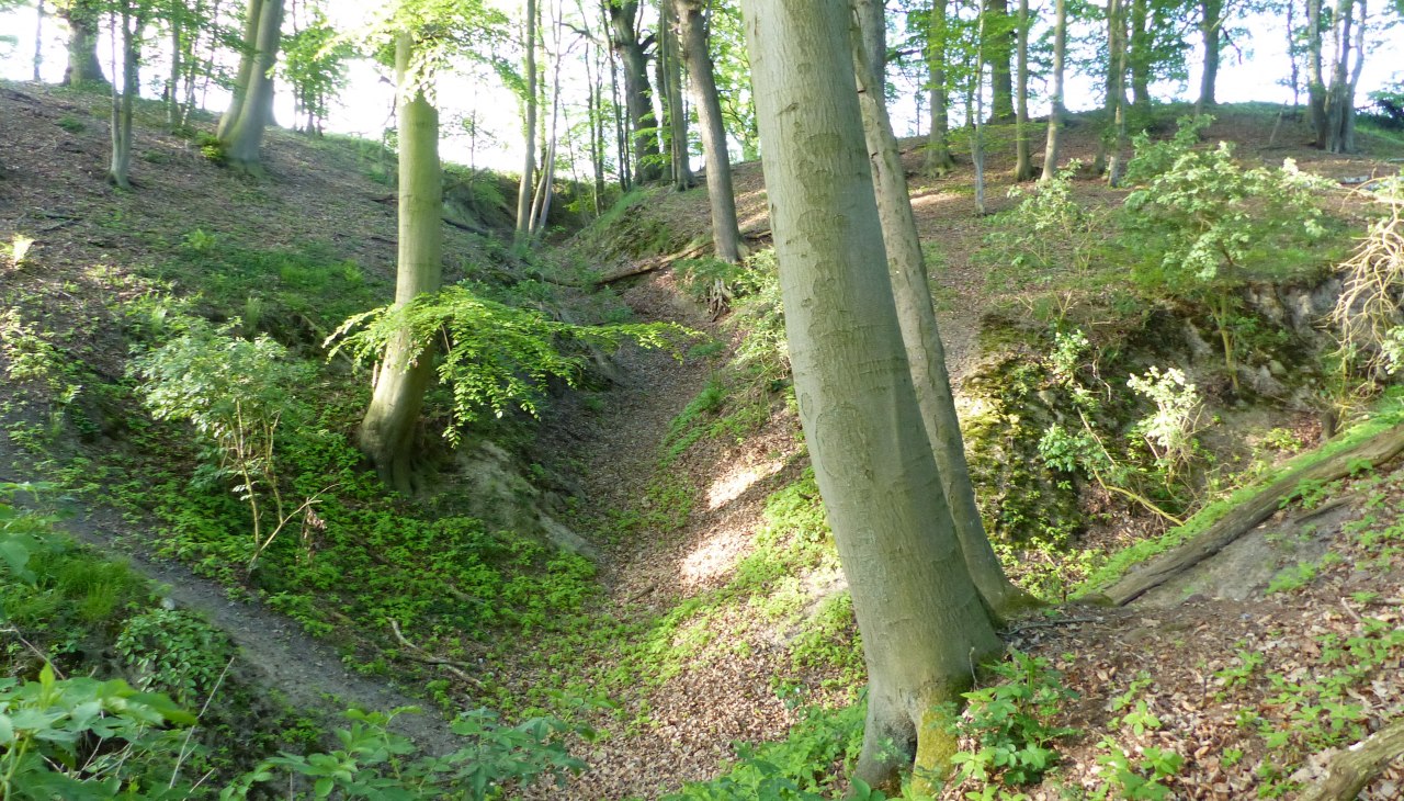 Landschap in de buurt van Langen Brütz, © Naturpark Sternberger Seenland Landschap in de buurt van Langen Brütz, © Naturpark Sternberger Seenland