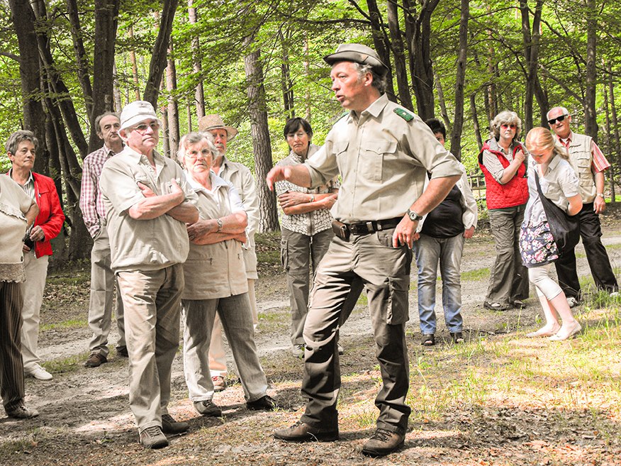 &copy; Infozentrum Wald und Moor
