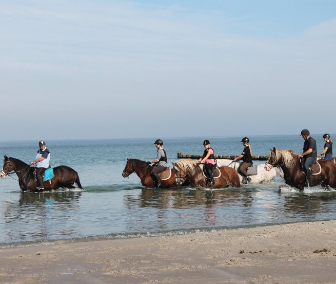 Ausritt an Bodden und Ostseeküste // © Reit- und Feriencamp Illner Ausritt an Bodden und Ostseeküste // © Reit- und Feriencamp Illner