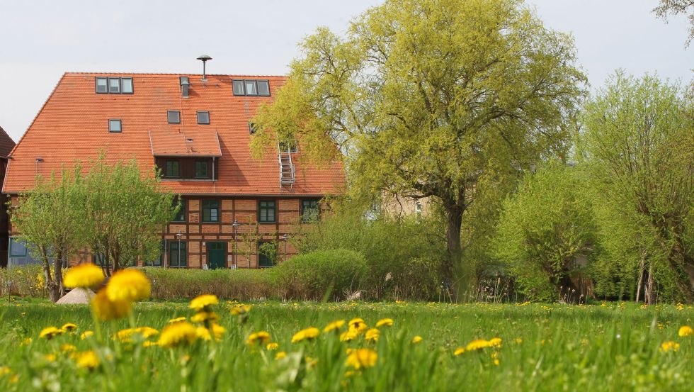 In der 200 Jahre alten Schwaaner Wassermühle befindet sich eine sehenswerte Gemäldeausstellung // © VMO Danny Gohlke In der 200 Jahre alten Schwaaner Wassermühle befindet sich eine sehenswerte Gemäldeausstellung // © VMO Danny Gohlke