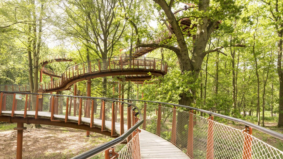 Baumkronenpfad, © Landesforst MV