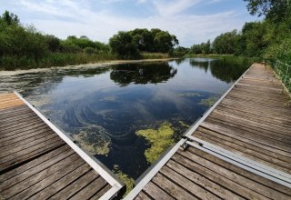 &copy; TV Mecklenburg-Schwerin e.V.