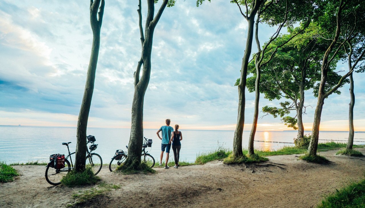 Der Nienhägener Gespensterwald liegt direkt an der Ostseeküste, © TMV/Gänsicke Der Nienhägener Gespensterwald liegt direkt an der Ostseeküste, © TMV/Gänsicke
